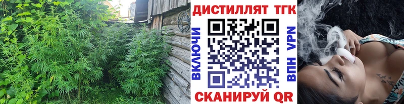 наркота  Магадан  ТГК THC oil 