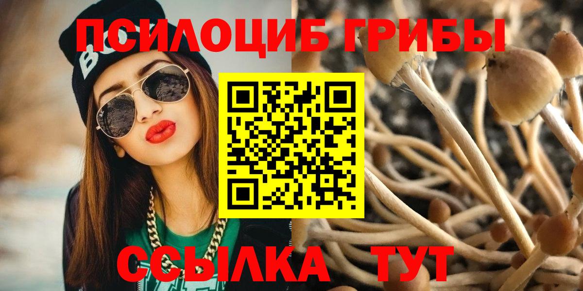 Псилоцибиновые грибы Cubensis  Магадан 