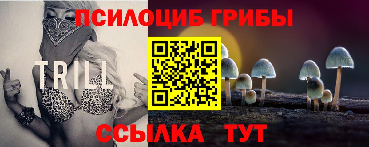 Псилоцибиновые грибы ЛСД  Вход с VPN  Магадан 